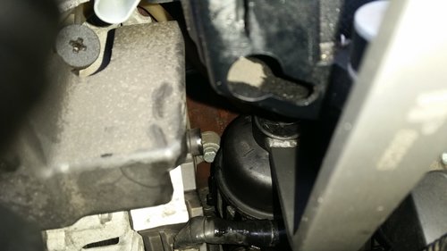 20170716_092751.jpg